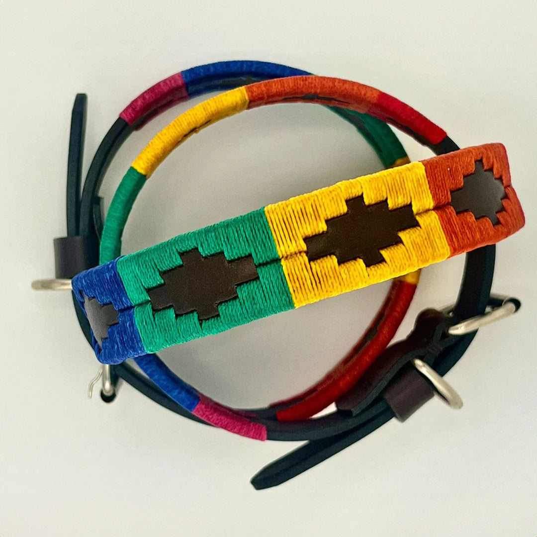 rainbow-pride-dog-collar